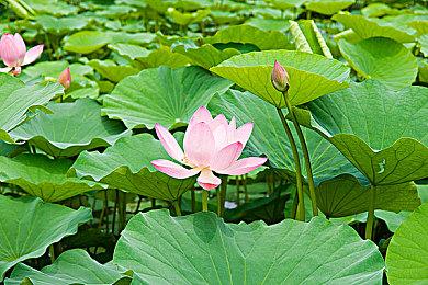 《星空》宣传曲欣赏 星际之旅即将开启